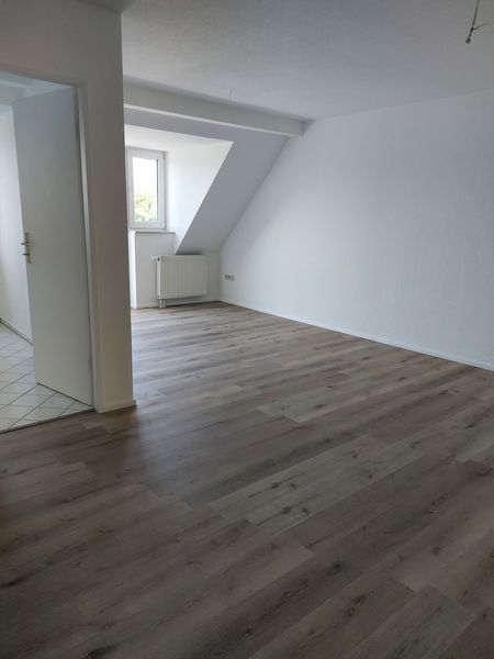 2-Raum-DG-Wohnung neu renoviert mit Blick ins Grüne